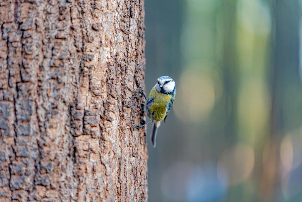 Ethics Begins Where Action Falters: Rethinking Responsibility on World Environment&nbsp;Day